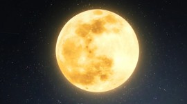 제목 없음-6.jpeg